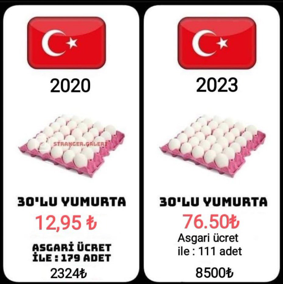 Yımırtanın şahlanışı