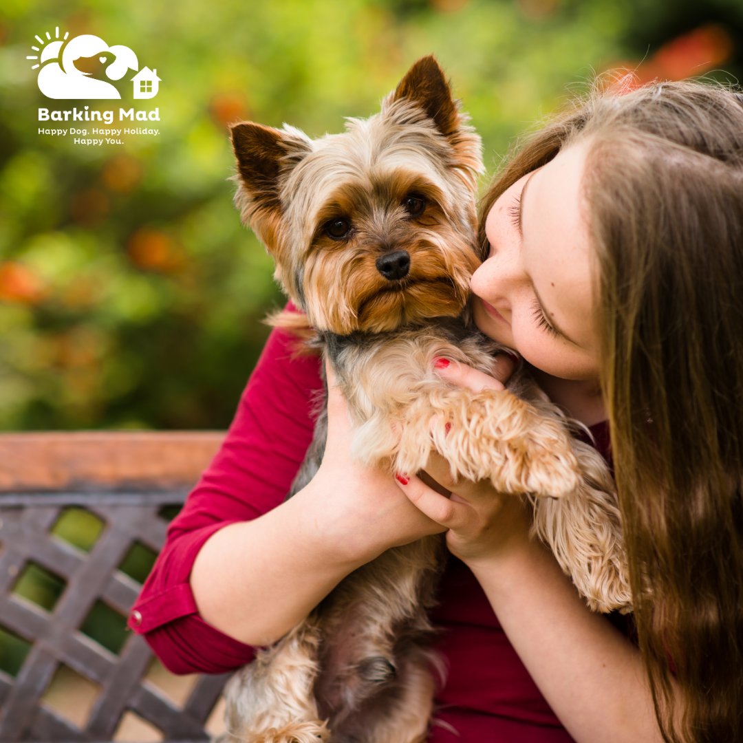 BarkingMadHQ's tweet image. April is Stress Awareness Month. Did you know that simply petting a dog can reduce stress? 
If you'd love the company of a dog, but can't commit to one fulltime, becoming a Barking Mad Host could be for you 🐶
ow.ly/u92T50NGQ7P
#actnow #dogsitting #barkingmaduk