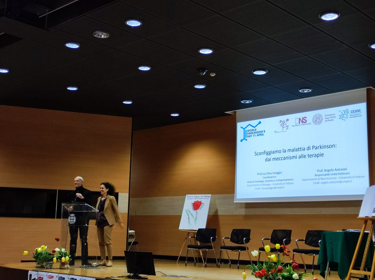 Elisa Greggio (@elisagreggio_) on Twitter photo Giornata mondiale del #Parkinson a Treviso con <a href="/angelo_antonini/">Angelo Antonini</a> <a href="/BiundoRoberta/">Roberta Biundo</a> <a href="/aigponlus/">A.I.G.P. ODV</a>🌹 connessi ai pazienti tra danza e musica Giornata mondiale del #Parkinson a Treviso con <a href="/angelo_antonini/">Angelo Antonini</a> <a href="/BiundoRoberta/">Roberta Biundo</a> <a href="/aigponlus/">A.I.G.P. ODV</a>🌹 connessi ai pazienti tra danza e musica