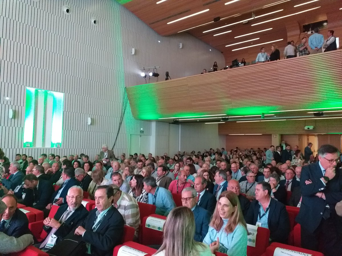 TROPS (@ftrops) on Twitter photo 'Innovar para llegar al consumidor' es el título de la mesa redonda en la que ha participado hoy nuestro CEO <a href="/EnriqueColilles/">EC</a> dentro del 6º #CongresoCoopsAgroAND de <a href="/CoopsAgroAND/">Cooperativas Agro-alimentarias de Andalucía</a> en #Córdoba.
Más info de este congreso aquí 👉🏼…greso.agroalimentarias-andalucia.coop
#CultivamosFuturo 'Innovar para llegar al consumidor' es el título de la mesa redonda en la que ha participado hoy nuestro CEO <a href="/EnriqueColilles/">EC</a> dentro del 6º #CongresoCoopsAgroAND de <a href="/CoopsAgroAND/">Cooperativas Agro-alimentarias de Andalucía</a> en #Córdoba.
Más info de este congreso aquí 👉🏼…greso.agroalimentarias-andalucia.coop
#CultivamosFuturo
