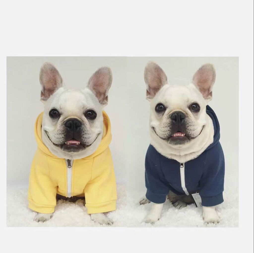 do you like this cute frenchie boy?
More in my  Bio💝😘

#dogclothes #cicidog #dogsofinstagram #dog #dogs #dogstagram #dogfashion #cute #frenchbulldog #dogclothing #doglife #instadog #doglover  #dogsbeingbasic #frenchiesofinstagram #cutepetclub #pugsofinsta #frenchies1
