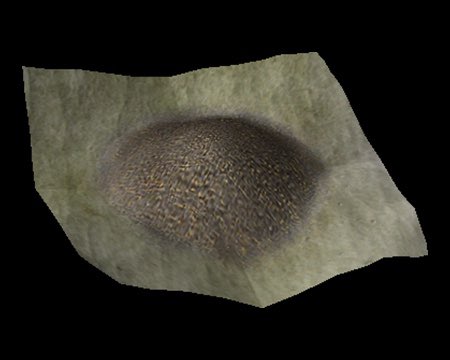 Jack Lewis Evans tweet media