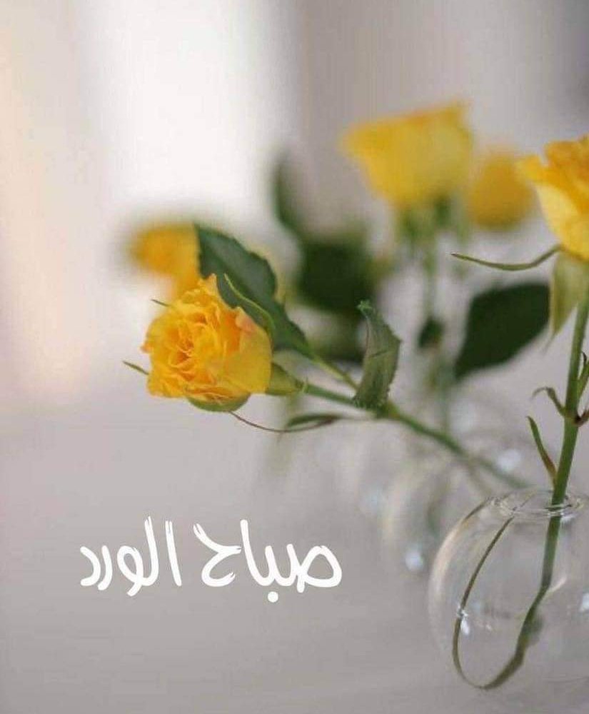 🌻☘️🌼#قروبات_البابلى_للاضافات 
🌼☘️🌻#قروبات_البابلى_للاضافات 
🌻☘️🌼#قروبات_البابلى_للاضافات 
🌼☘️🌻#قروبات_البابلى_للاضافات 
🌻☘️🌼#قروبات_البابلى_للاضافات 
🌼☘️🌻#صباح_الخير_والسعاده_للجميع