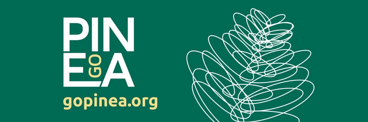 Naturaleza Castilla y León tweet media