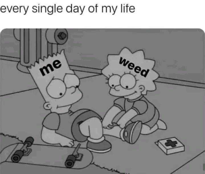 WeedTravel.dao (@smoketravel) on Twitter photo 