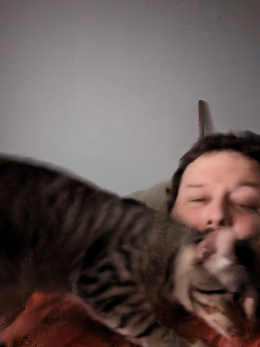 The day before #NationalPetDay2023 I adopted Rocky! He was shy and getting used to his surroundings. Here are pics of our first interactions.