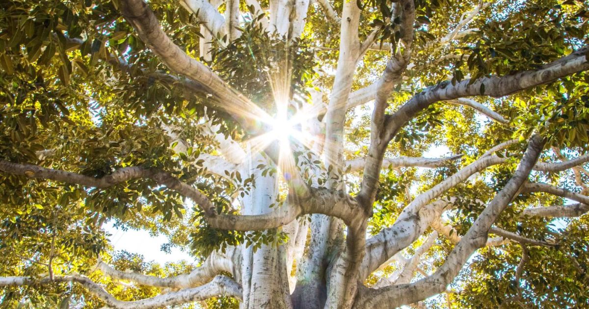 When we look beyond the dominant cultural descriptions of masculine and feminine and when we trust our own knowing of masculine and feminine, we give ourselves permission to alchemize energy and to flex with it. I believe this permission is the gateway...- mailchi.mp/25abd37ba9ab/s…