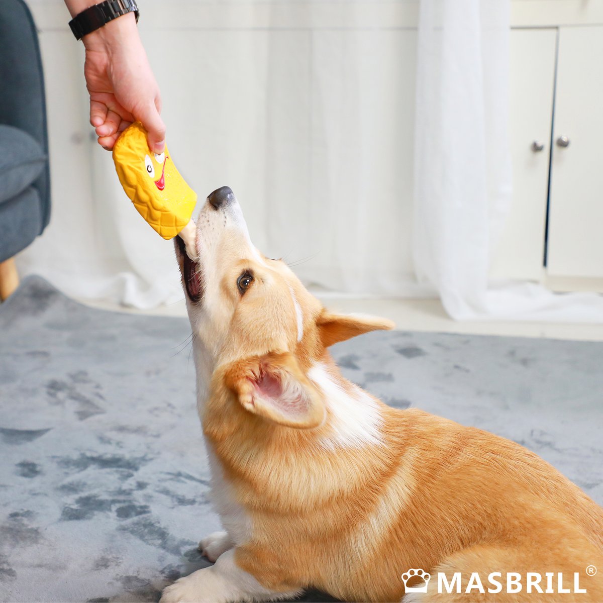 Masbrill_World's tweet photo. This pup is going absolutely nuts for our #Masbrill ice cream model chew toy! π¦πΆ
https://t.co/GyfZDDKqbV
Color:Yellowπ¨Blueπ¦Pink
#Pets #pet #petfriendly #petsupplies #petsuppliesplus #petsupply #petsupplier #petsupport #dog #dogs #doglover #dogtoys #Masbrilltoy #pettoys https://t.co/2pUvAmsybD