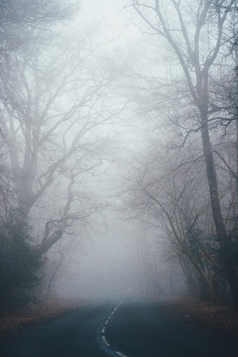 RadJoyHardTimes's tweet photo. Sometimes the smallest and most unlikely thing can turn you completely around. Read one woman's story in this week's Radical Joy Revealed.
https://t.co/cRSbZklB20
https://t.co/4ExE1tEPy9 https://t.co/z1VuTna0G6