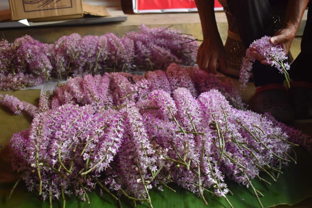 DEVAJIT MORAN #IAmDehingPatkai #Protectmetoo tweet media