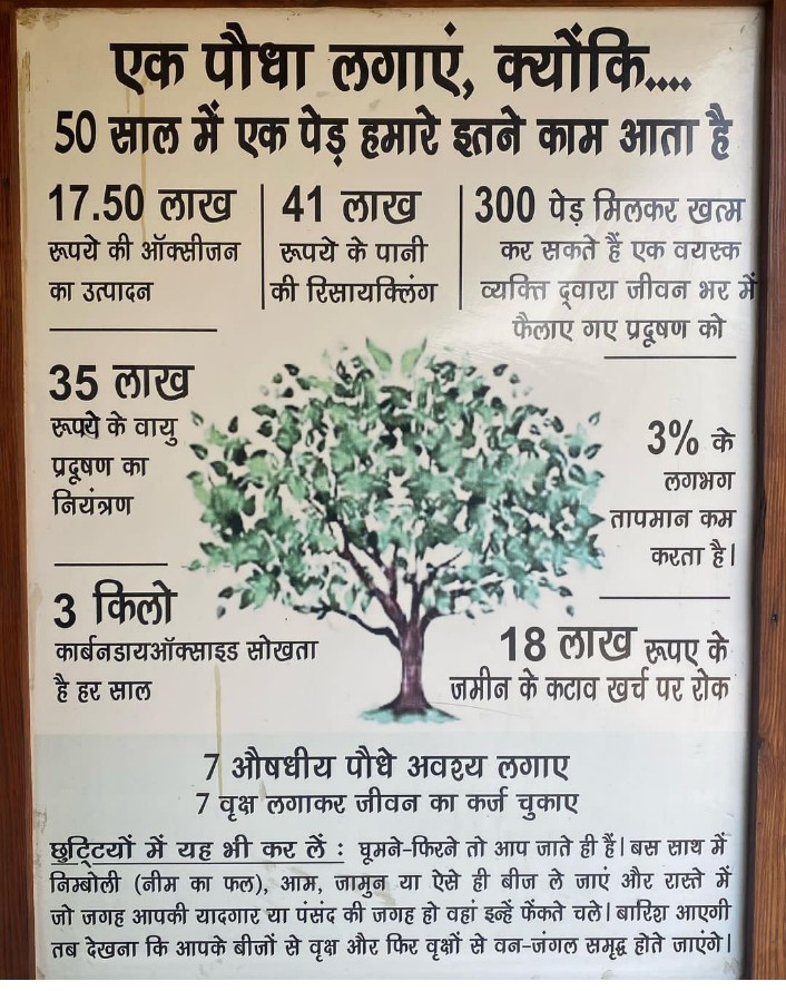 Pappu_Ram_HM's tweet photo. मैं पुरे भारत में 1 लाख पौधे लगा रहा हूं साइकिल से आप ने अब तक कितने पेड़ लगा दिया है ?
#treeweek2023 #cyclist_pappu_choudhary #india #plantation @PMOIndia https://t.co/Uuo02wnW98
