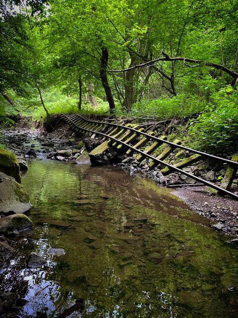 Abandoned railroad tracks in forest.