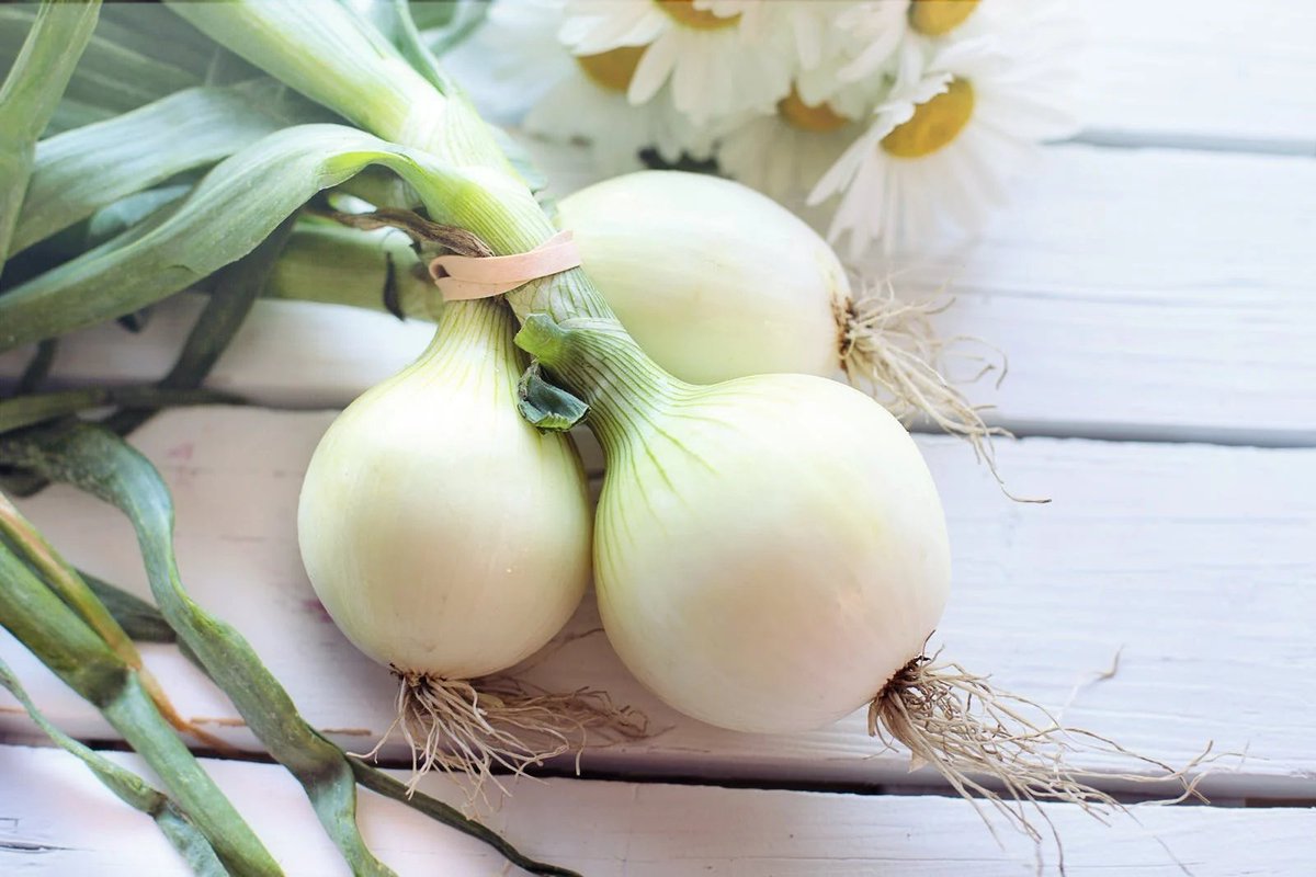 The sulfur in #onions is part of what makes them nature’s #antibiotic. It  also helps rid the body of radiation exposure, casting out #pathogens,  and drawing out DDT and other #pesticides, herbicides, and toxic heavy  metals.