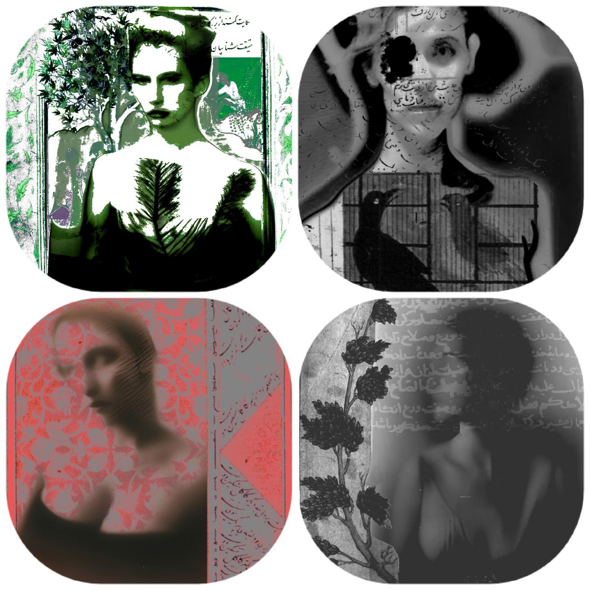 Sabasart1's tweet photo. My available 1/1, collection LIFE
5.5_8 $xtz
Check the link in the comments
#tezos #TezosNFTs #portraitft #WomenInNFTs https://t.co/fTbAQ6Igi1