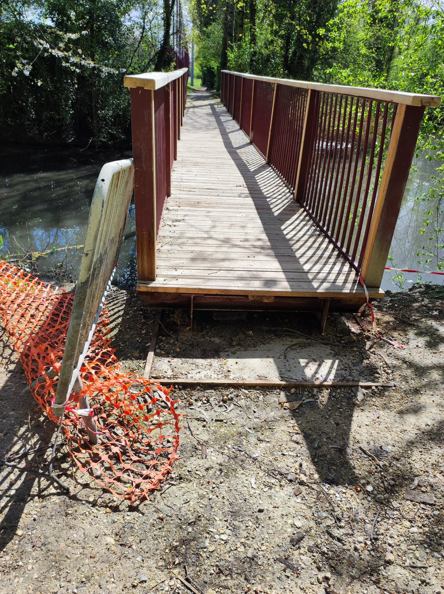 Karla Ferrer tweet media