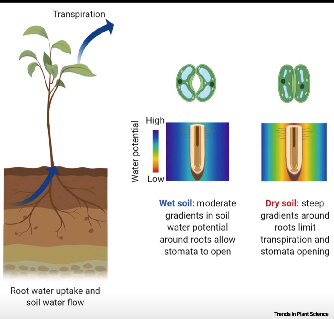 Dr Priyanka Singh (@priyanka75) on Twitter photo 