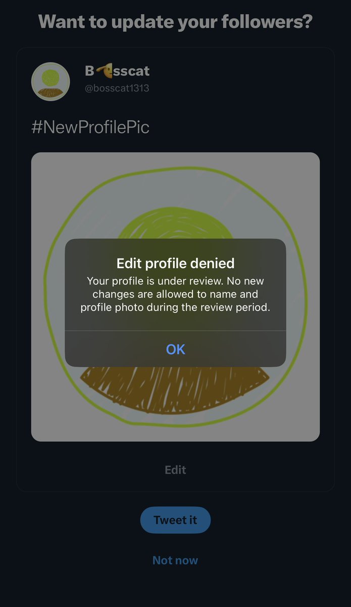 bosscat1313's tweet photo. gm! Woke up to a .10e fp on #justabasicprofilepicture by @claritycollectv Went to change my pfp to Basic but @Twitter thinks otherwise. Please finish verifying my acct! ๐ค https://t.co/aHDmjCD4JW