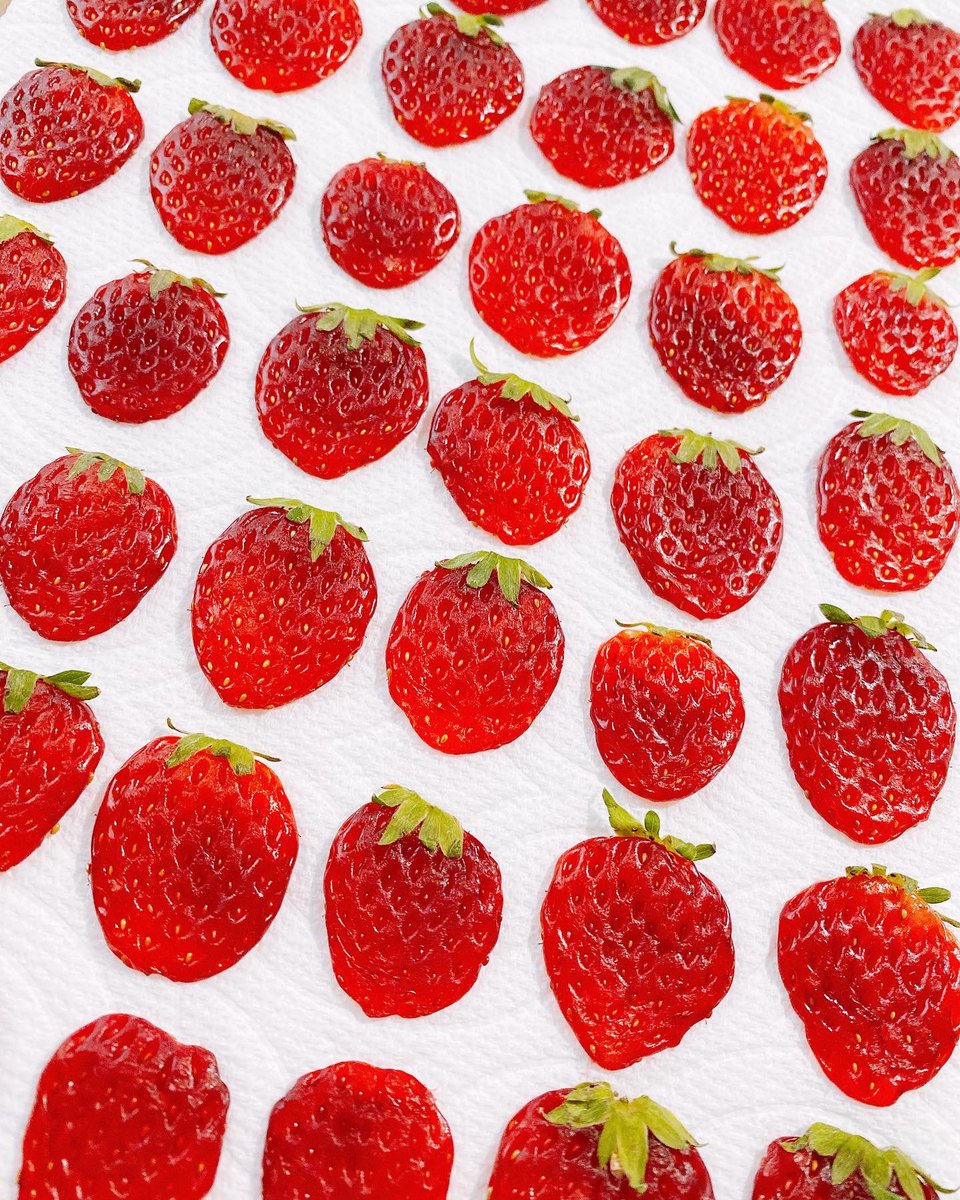 yuzuta_34's tweet photo. 押し苺に初チャレンジ🍓
成功しますよーに😌🙏💫

 #レジン好きさんと繋がりたい
 #ハンドメイド好き 
 #苺
 #押し苺
 #ゆずぅた https://t.co/RWemQlSAHm