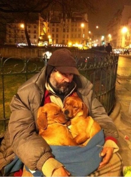 EkohBernard's tweet photo. Harmony with the four leggedβs #Peace #pets #streetanimals #straypets https://t.co/QoPeGT3T6B
