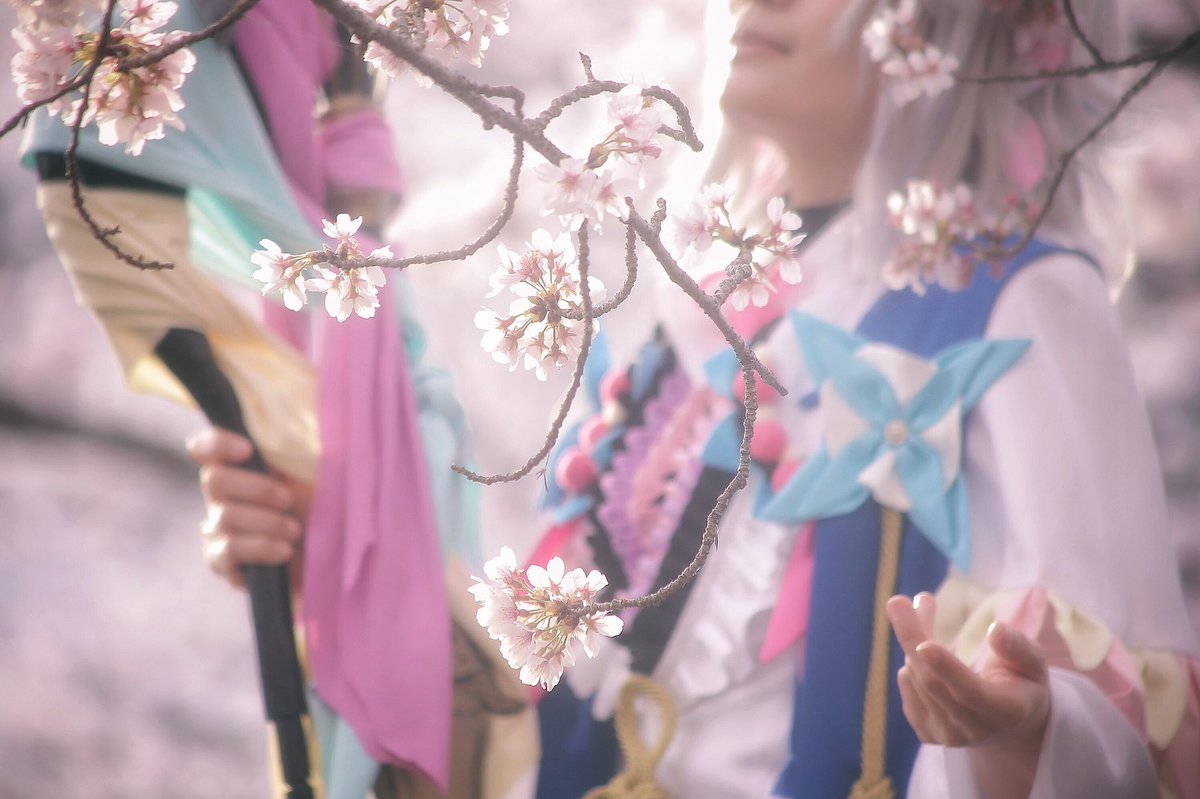 あんこ₍^ . ̫ . ^₎‎サブ垢 (@Biensur_tourte) / Posts / X