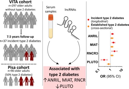 Can circulating RNAs predict new onset #diabetes? Scientists from @CTECresearch show that a panel of circulating lncRNAs is able to do so! diabetesjournals.org/care/article/d… #precisionmedicine #CardioTwitter @Unispital_USZ @UZH_en #SarahCostantino