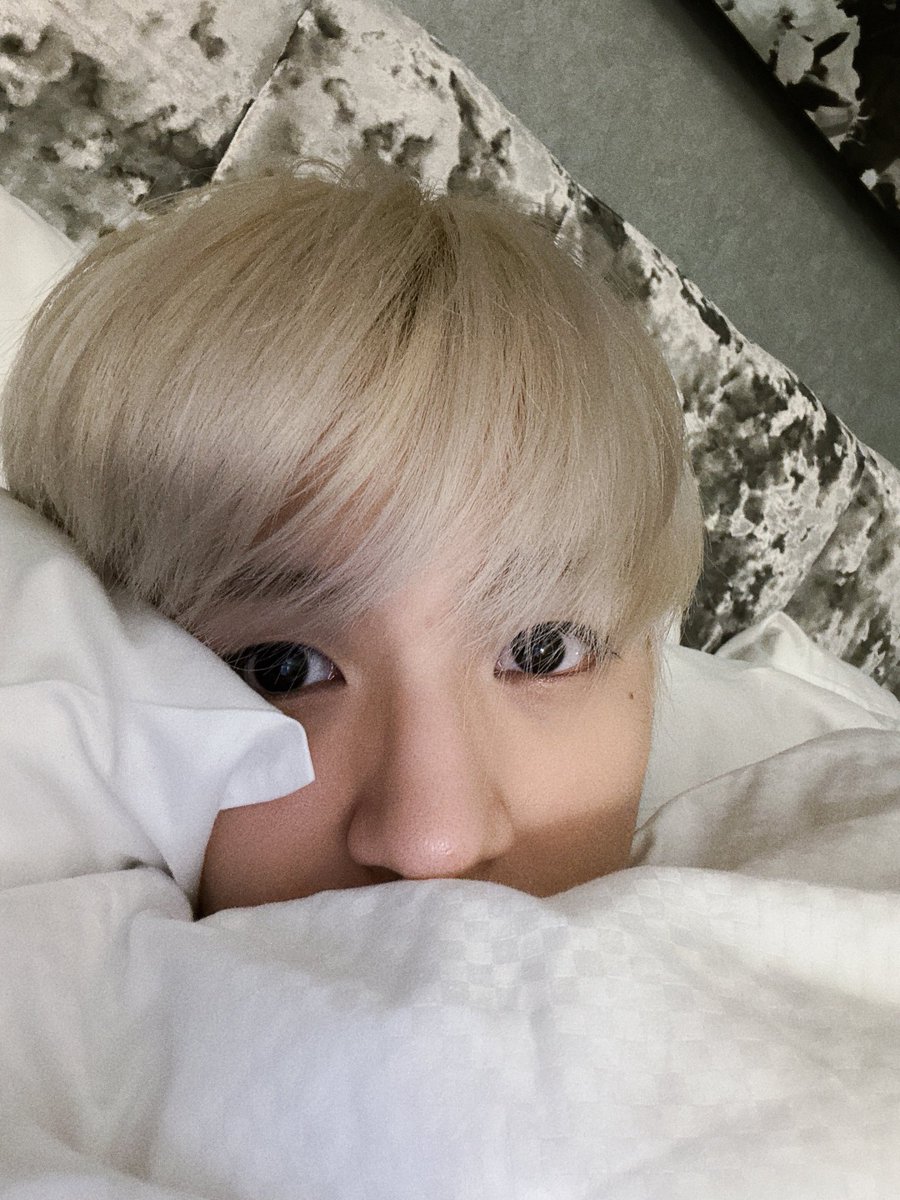 morningelv's tweet photo. nohyuck au

               “ I woof you ”
      『 and I really mean it 』

» featuring hybrid jn x human hc https://t.co/JWgTxtHeEI