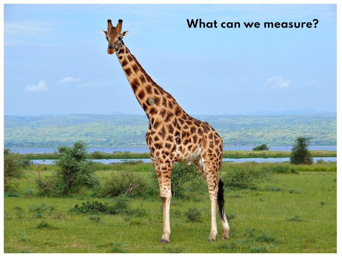 Chris Rhoda tweet media