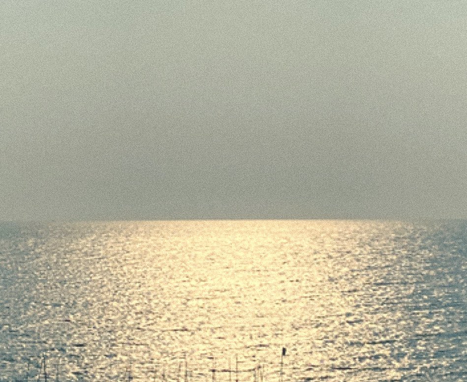🥨aryboo❕🍅 tweet media