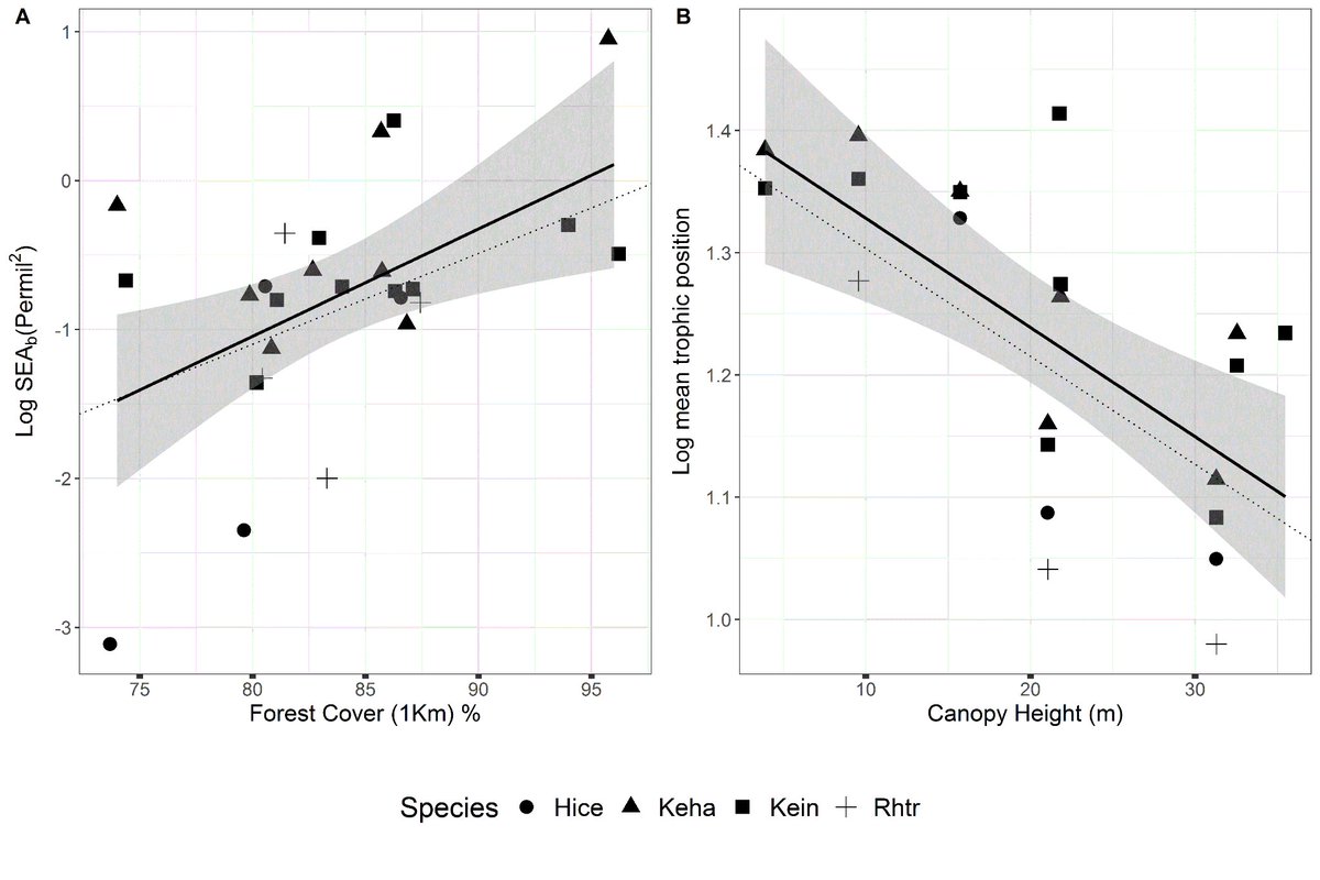 Tor kemp tweet media