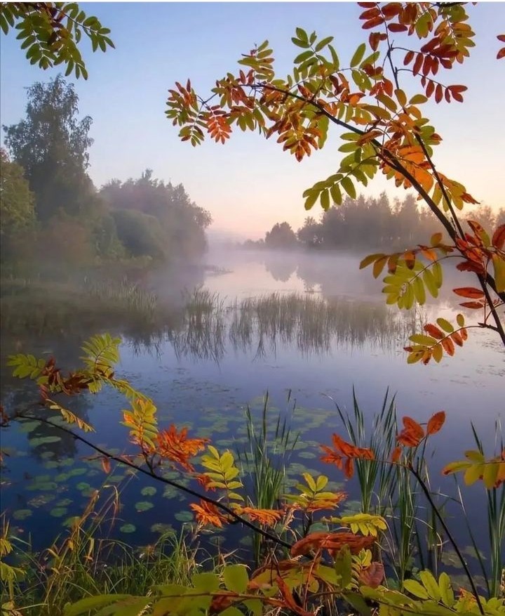 naturepics_m📸😍♥️💚💙💛🧡