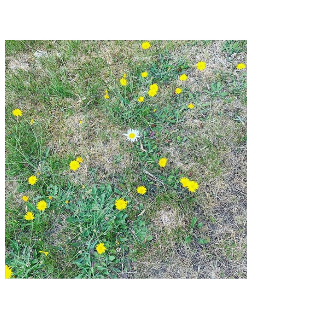 The Mourne Lodge tweet media