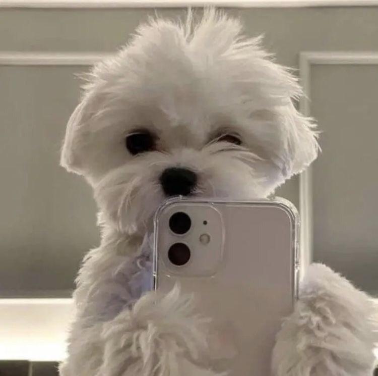 ⠀⠀

                      proof of life. 

             ⠀⠀