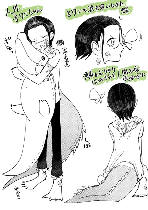 可哀想可愛い人外子鰐ちゃんが好き🐊 