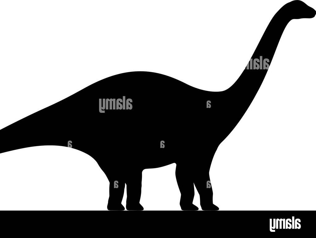 Alexander tweet media