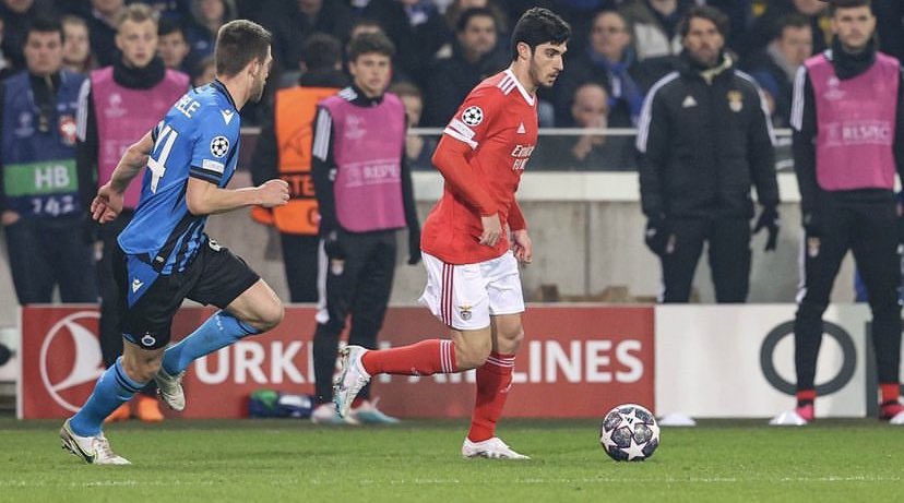 O TRIO que pode salvar o Benfica em Italia🏟️

Neres🇧🇷-G.Ramos🇵🇹-Guedes🇵🇹
