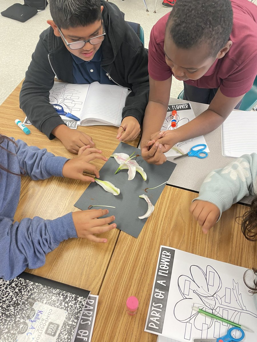 Miss Gates tweet media