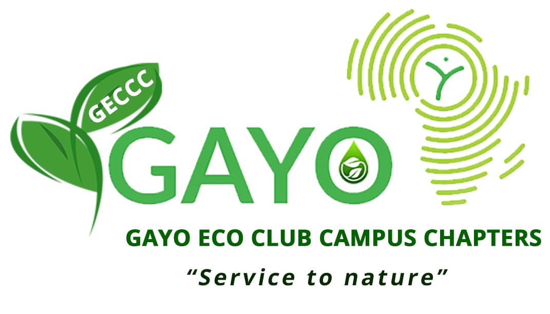 news_ghana's tweet photo. GECCC embarks on youth ecopreneurship project to solve nature and climate problems https://t.co/Pzxnfow0hb #News #climateproblems #embarks #GECCC #nature https://t.co/6pk98yIluS