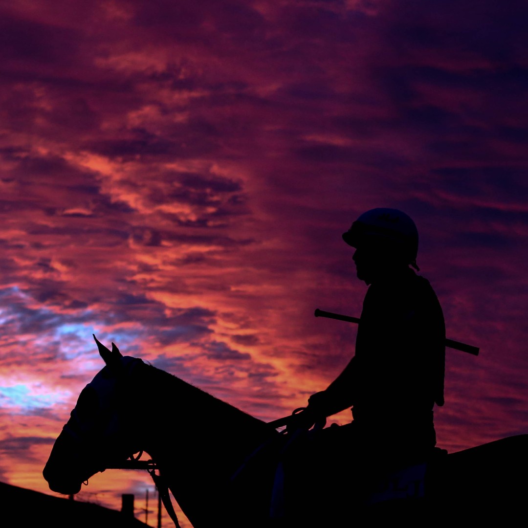 KentuckyDerby tweet picture