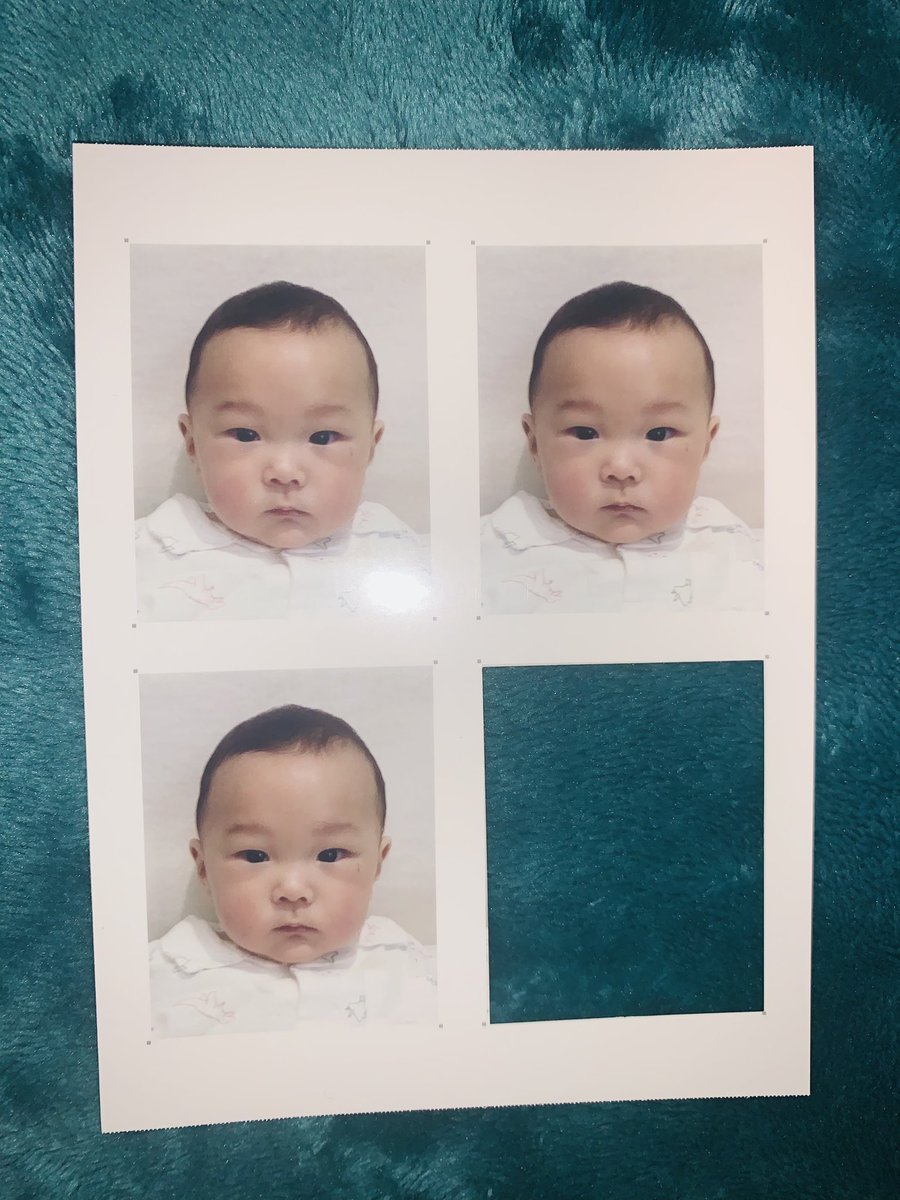 🐾🍭ぽんちゃん🐾🍭 tweet media