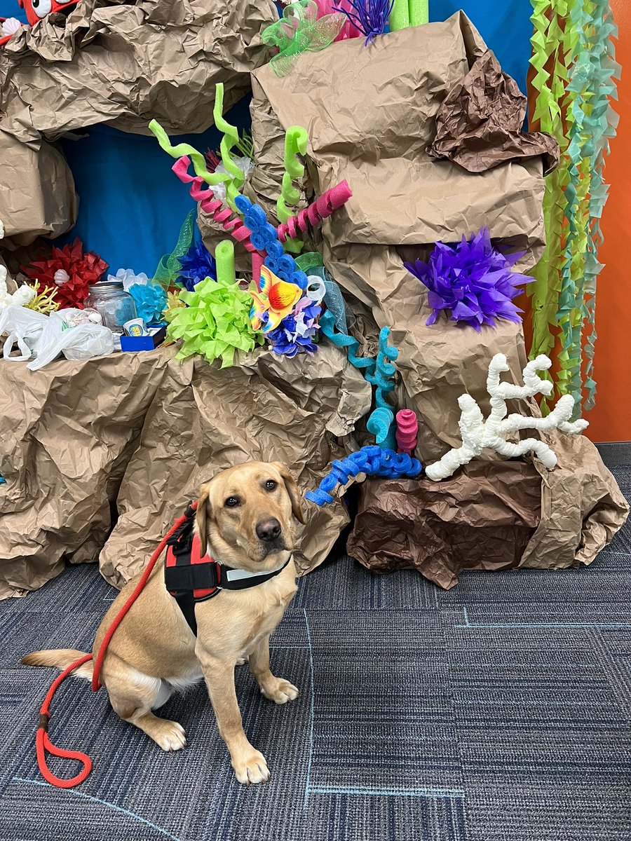Willow- Keith Therapy Dog (@dragondogwillow) on Twitter photo Dive into reading at the book fair <a href="/KeithElementary/">Keith Elementary</a> <a href="/WlcsdD/">WLCSD Therapy Dogs</a> <a href="/WalledLkSchools/">Walled Lake Schools</a> <a href="/MarciAugenstein/">Marci Augenstein</a> Dive into reading at the book fair <a href="/KeithElementary/">Keith Elementary</a> <a href="/WlcsdD/">WLCSD Therapy Dogs</a> <a href="/WalledLkSchools/">Walled Lake Schools</a> <a href="/MarciAugenstein/">Marci Augenstein</a>