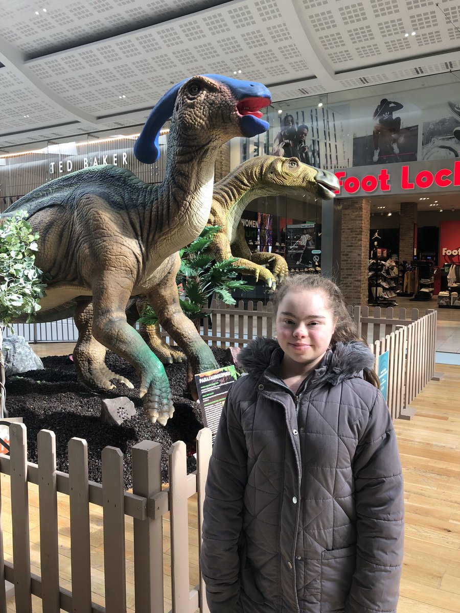 DianeReeves777's tweet photo. Found some Dinosaurs in Derby #Derby #Dinosaur #Derbion https://t.co/VzdEW1yUdJ