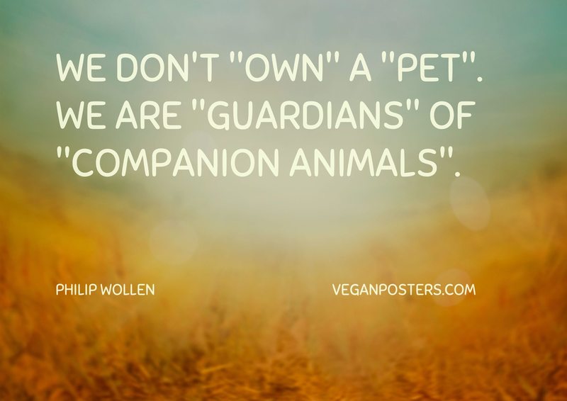 Vegan Posters on Twitter "We don’t "own" a "pet". We are "guardians