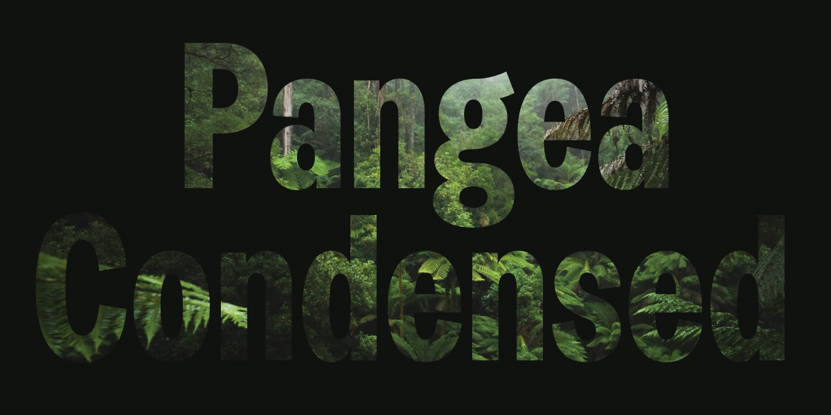 fontwerk's tweet photo. Coming soon: Pangea Condensed
Our climate-conscious and ever expanding superfamily designed by @koeberlin, is getting more widths! Three in fact: SemiCondensed, Condensed and XCondensed! Fancy some beta fonts? Get in touch: https://t.co/sVY0yA7pE1 https://t.co/JRxgiaxmMK
