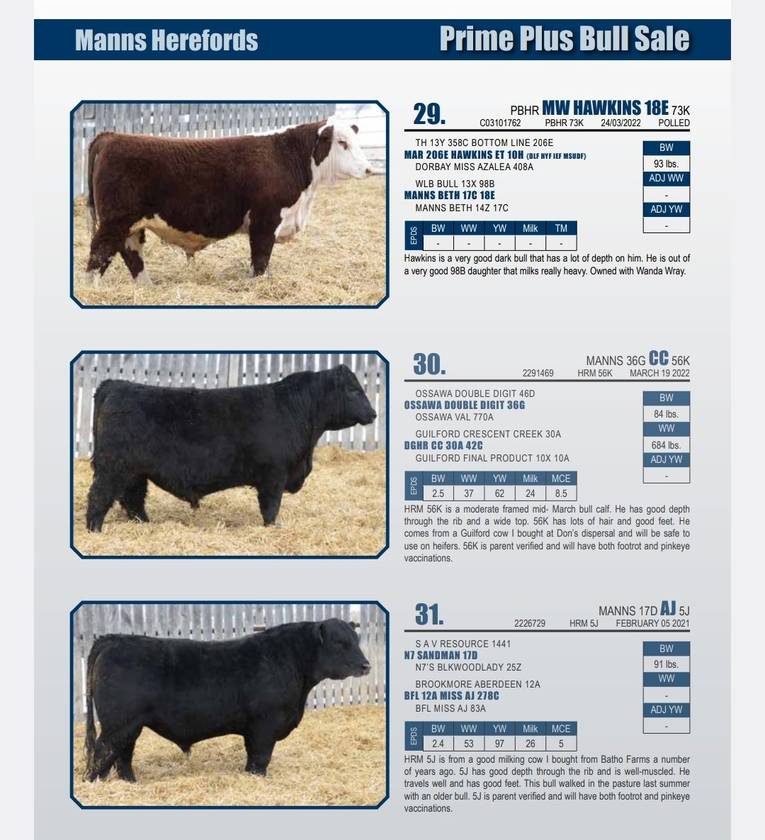 Heather Manns tweet media