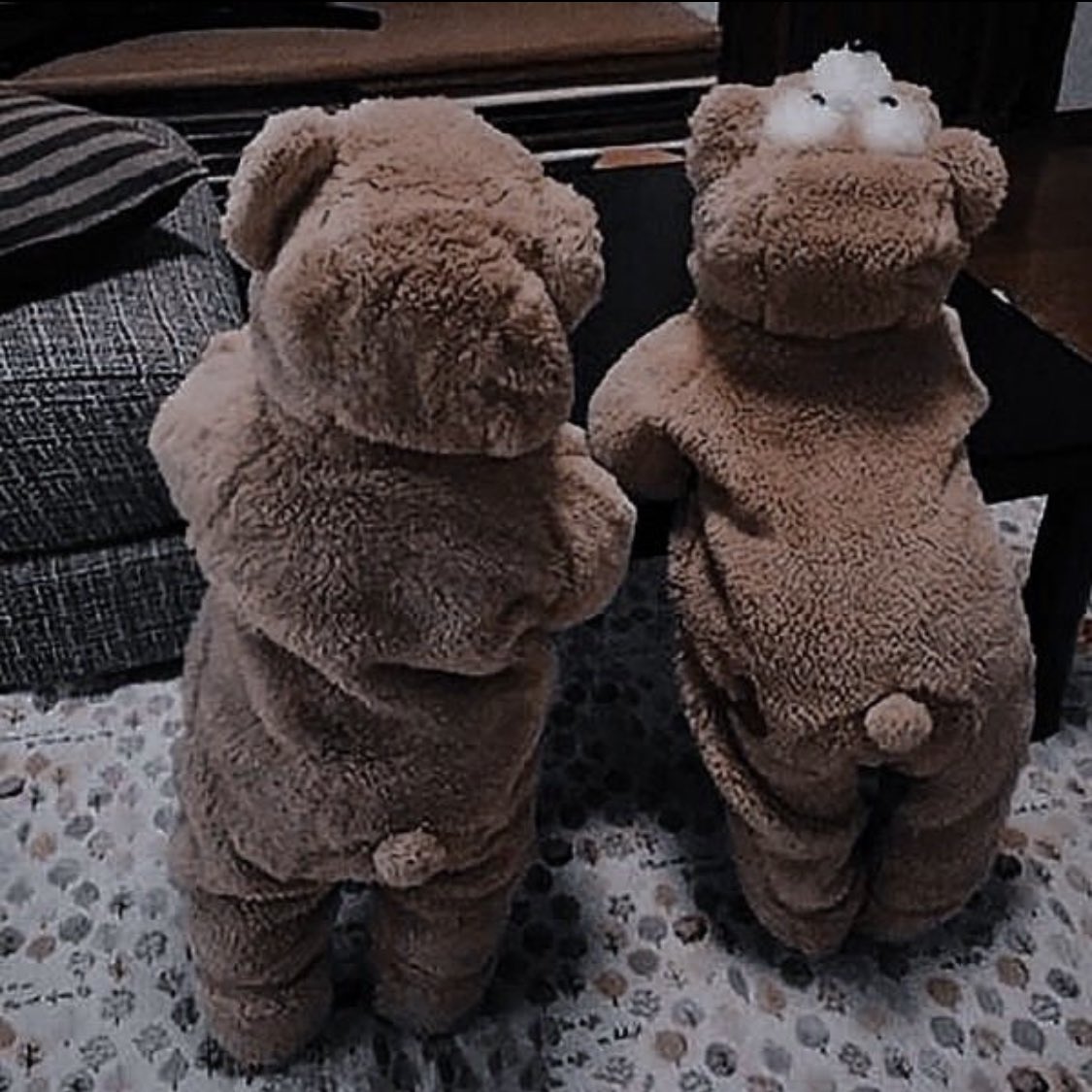 Mr_NScamander's tweet photo. A couple of bears woke me up this morning… https://t.co/svYMgojtWH