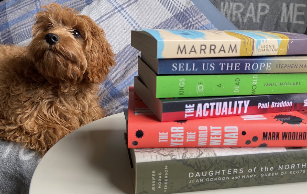 sandstonepress's tweet photo. #NationalPetDay, you say? Here’s our Barketing Assistant (sorry, not sorry) with a big ol’ stack of his favourite books 💕 https://t.co/Uk6NWTX43W