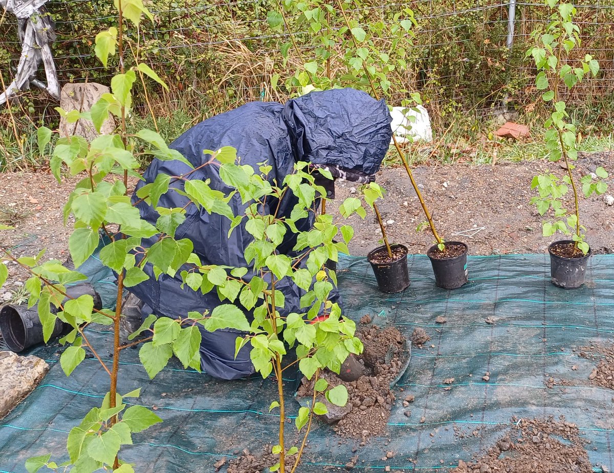 Pilot phytoremediation experiment in an abandoned mine tailings dump
@IndurotUniovi @uniovi_info #soilremediation #soilscience #SoilHealth #SoilPollution #phytoremediation