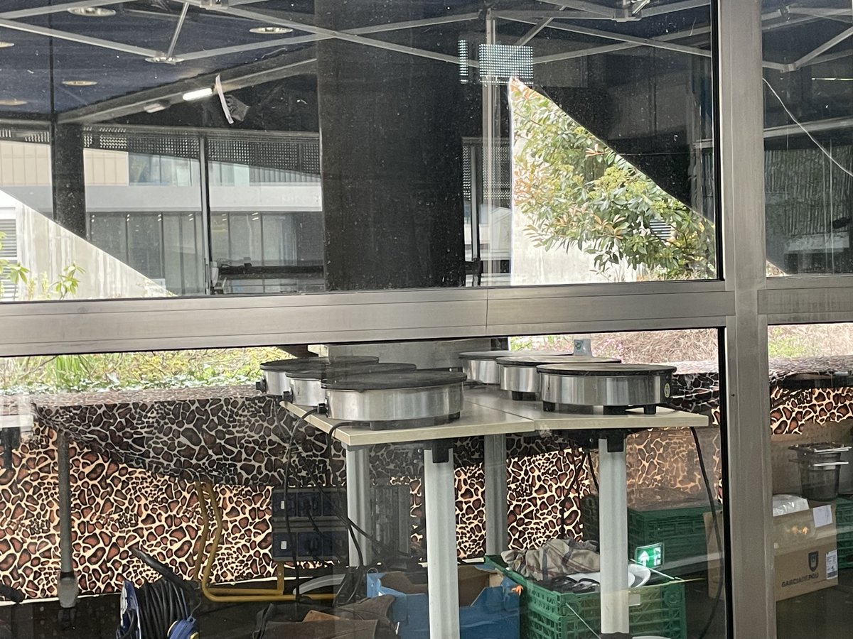 CPE Lyon tweet media