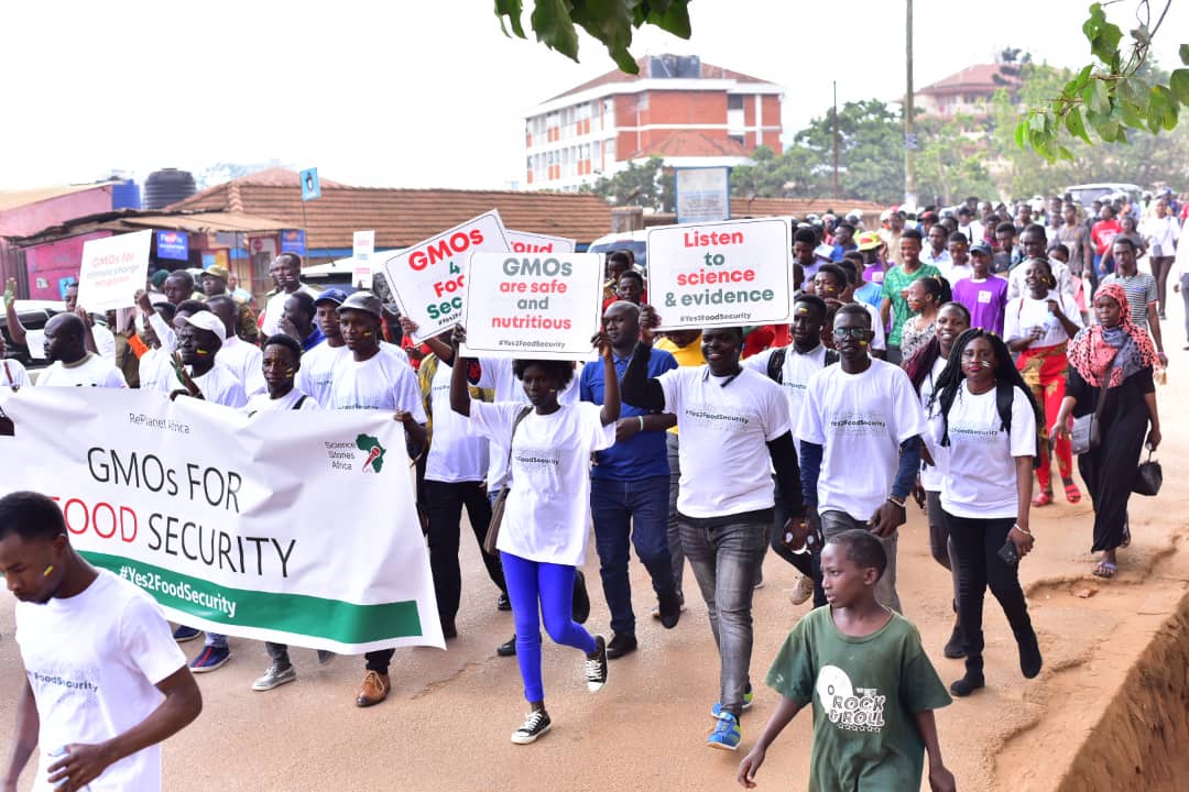 WePlanetAfrica's tweet photo. In case you missed it, this article speaks to the #Walk4GMOs that occurred 2 months ago both in Kampala and Nairobi. Read article hereπhttps://t.co/L0wsMtZucJ :Researchers applaud Ruto on Biotechnology.
#LetKenyansEat #Yes2FoodSecurity https://t.co/p7SigHYDfQ