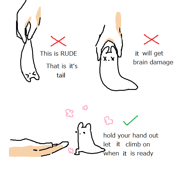 jellybasak's tweet photo. #rainworld https://t.co/SBs553EJWk